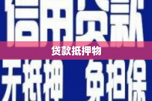 信州贷款抵押物