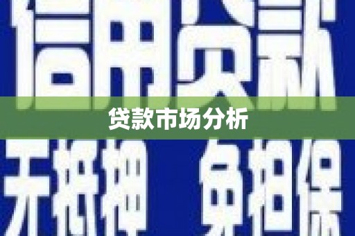 信州贷款市场分析