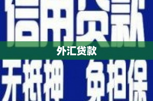 信州外汇贷款