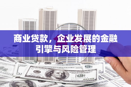信州商业贷款，企业发展的金融引擎与风险管理