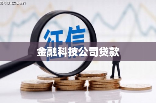 信州金融科技公司贷款