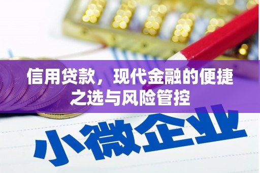 信州信用贷款，现代金融的便捷之选与风险管控