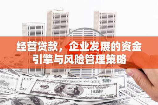 信州经营贷款，企业发展的资金引擎与风险管理策略