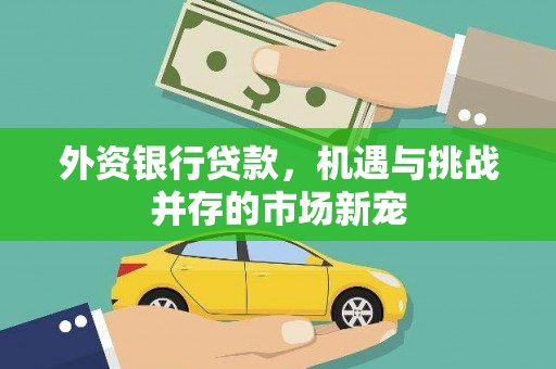 信州外资银行贷款，机遇与挑战并存的市场新宠