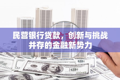 信州民营银行贷款，创新与挑战并存的金融新势力