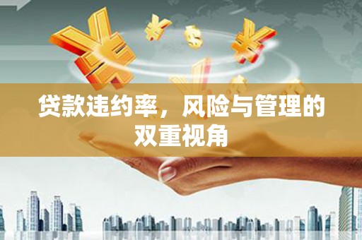 信州贷款违约率，风险与管理的双重视角
