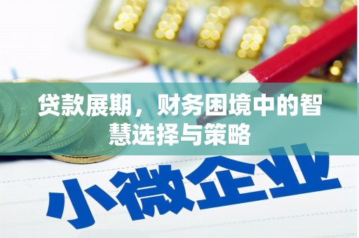 信州贷款展期，财务困境中的智慧选择与策略