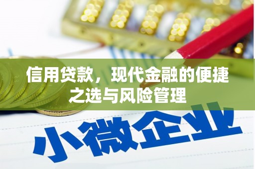 信州信用贷款，现代金融的便捷之选与风险管理