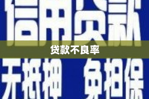 信州贷款不良率