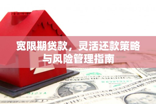 信州宽限期贷款，灵活还款策略与风险管理指南