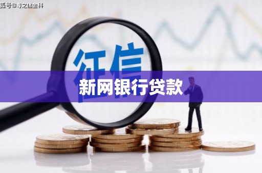 信州新网银行贷款