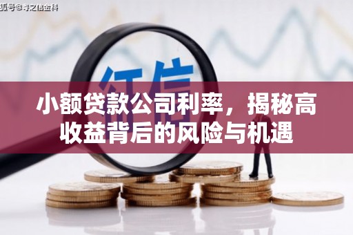 信州小额贷款公司利率，揭秘高收益背后的风险与机遇