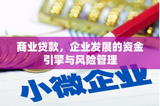 信州商业贷款，企业发展的资金引擎与风险管理