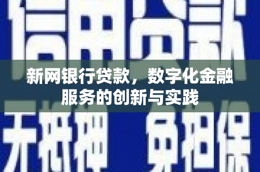 信州新网银行贷款，数字化金融服务的创新与实践
