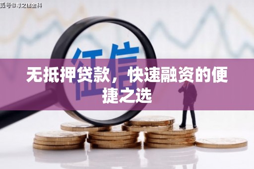 信州无抵押贷款，快速融资的便捷之选
