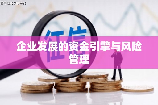 信州企业发展的资金引擎与风险管理