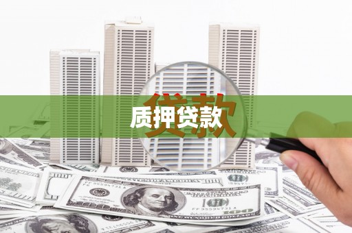 信州质押贷款