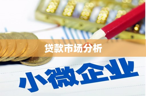 信州贷款市场分析