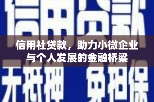 信州信用社贷款，助力小微企业与个人发展的金融桥梁