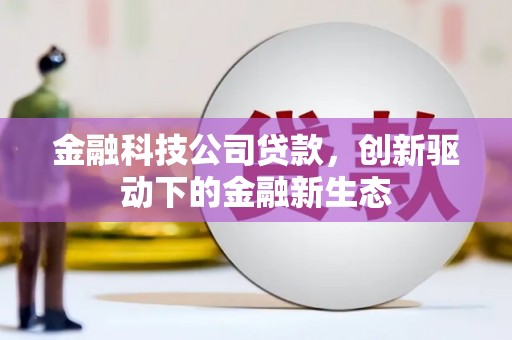 信州金融科技公司贷款，创新驱动下的金融新生态