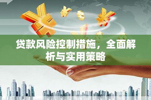 信州贷款风险控制措施，全面解析与实用策略