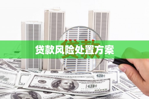 信州贷款风险处置方案