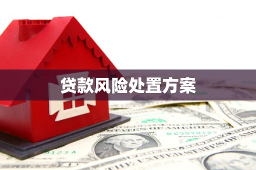 信州贷款风险处置方案