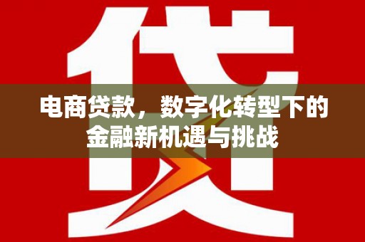 信州电商贷款，数字化转型下的金融新机遇与挑战