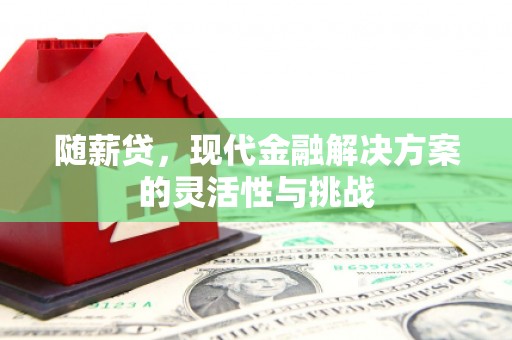 信州随薪贷，现代金融解决方案的灵活性与挑战