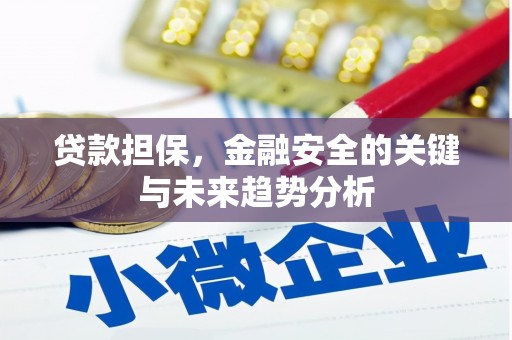 信州贷款担保，金融安全的关键与未来趋势分析