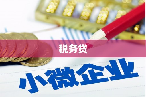 信州税务贷