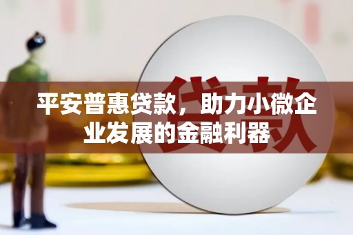 信州平安普惠贷款，助力小微企业发展的金融利器