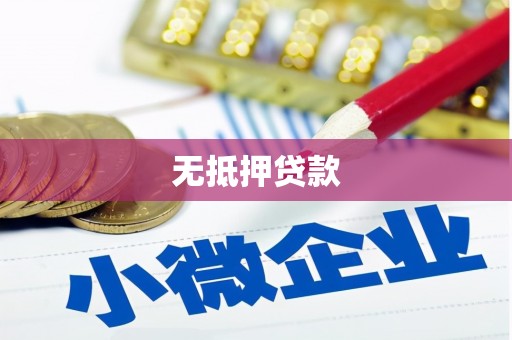 信州无抵押贷款