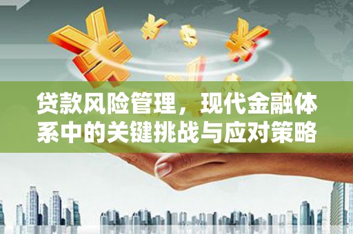 信州贷款风险管理，现代金融体系中的关键挑战与应对策略