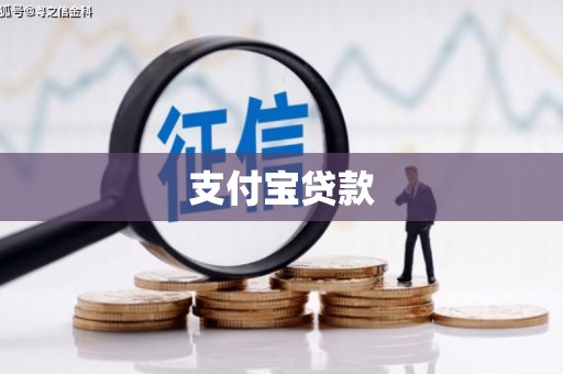 信州支付宝贷款
