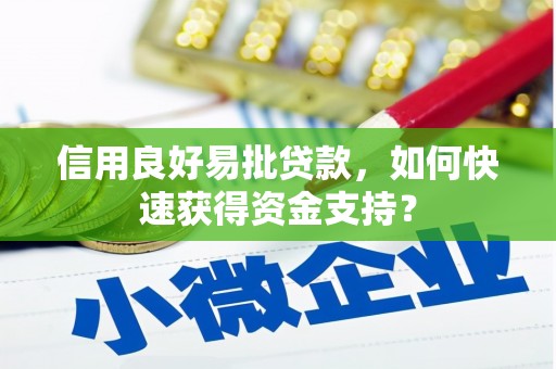 信州信用良好易批贷款，如何快速获得资金支持？