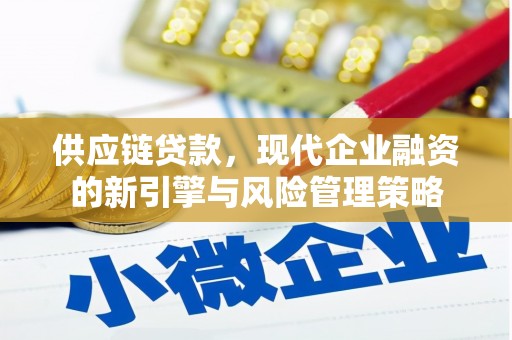 信州供应链贷款，现代企业融资的新引擎与风险管理策略