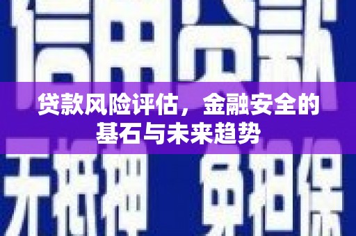 信州贷款风险评估，金融安全的基石与未来趋势