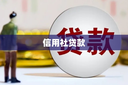 信州信用社贷款