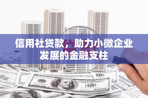信州信用社贷款，助力小微企业发展的金融支柱