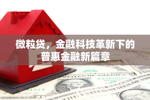 信州微粒贷，金融科技革新下的普惠金融新篇章