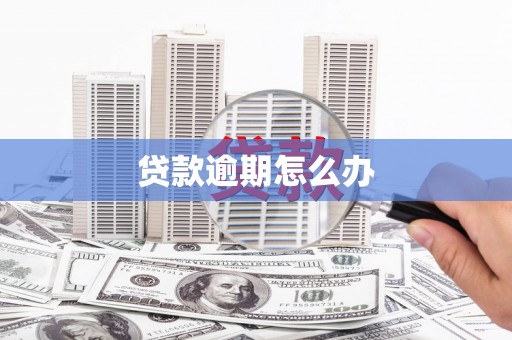 信州贷款逾期怎么办