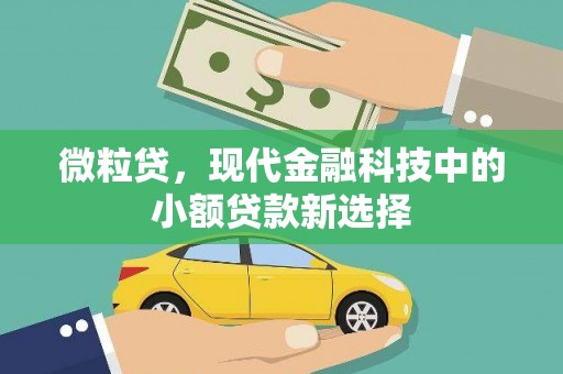 信州微粒贷，现代金融科技中的小额贷款新选择