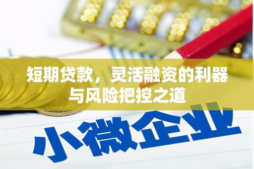 信州短期贷款，灵活融资的利器与风险把控之道