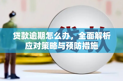 信州贷款逾期怎么办，全面解析应对策略与预防措施