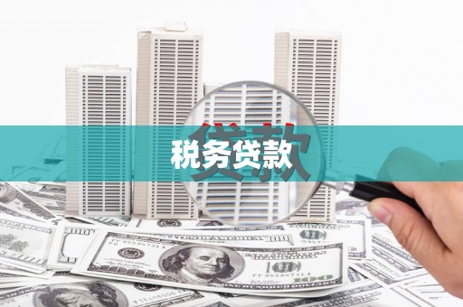 信州税务贷款