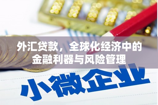 信州外汇贷款，全球化经济中的金融利器与风险管理