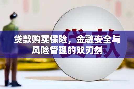 信州贷款购买保险，金融安全与风险管理的双刃剑