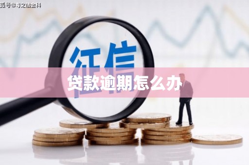 信州贷款逾期怎么办