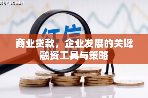 信州商业贷款，企业发展的关键融资工具与策略